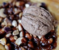 Juglans regia - Walnoot - 2