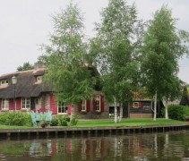 Ruwe berken voor woning aan het water