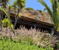 Pennisetum alopecuroides - Lampenpoetsersgras alopecuroides - 1
