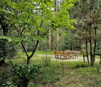Castanea sativa - Tamme kastanje  - toepassing in bostuin