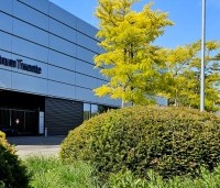 Taxus baccata - Venijnboom - 6
