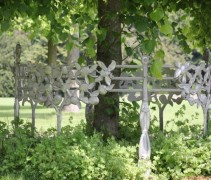 Tilia x Europaea