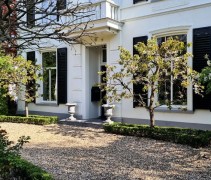 Prunus Avium 'Regina' leivorm laagstam organisch geleid