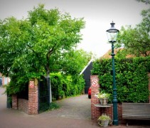 Walnotenboom Juglans regia toepassing