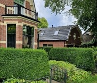Taxus baccata - Venijnboom - gebogen haag in de voortuin