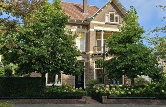 Afbeelding Magnolia 'Yellow River' - Magnolia 'Yellow River'