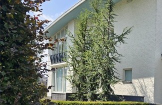 Afbeelding Libanonceder - Cedrus libani