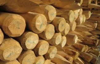 Ondersteunende afbeelding voor categorie Aanplantmaterialen