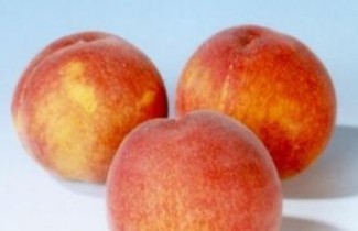 Afbeelding Perzik 'Wassenberger' - Prunus persica 'Wassenberger'