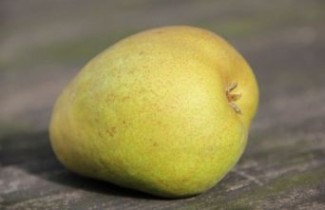 Afbeelding Handpeer 'Beurre Hardy' - Pyrus communis 'Beurre Hardy'