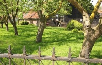 Afbeelding Appel 'Katja' - Malus domestica 'Katja'