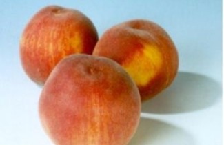 Afbeelding Perzik 'Champion' - Prunus persica 'Champion'