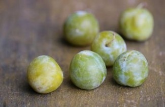 Afbeelding Pruim 'Reine Claude Verte' - Prunus domestica 'Reine Claude Verte'