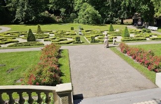 Afbeelding Palmboompje - Buxus sempervirens