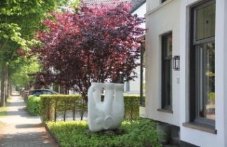 Afbeelding Roodbladige kerspruim - Prunus cerasifera 'Nigra'