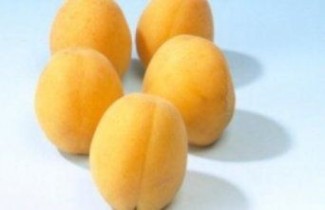 Afbeelding Abrikoos 'Hongaarse' - Prunus armeniaca 'Hongaarse'