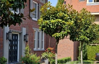Afbeelding Magnolia 'Galissonnière' - Magnolia grandiflora 'Galissonnière'