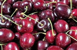 Afbeelding Kers "Bigarreau Burlat" - Prunus avium 'Bigarreau Burlat'