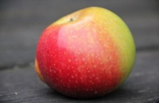 Afbeelding Appel 'Alkmene' - Malus domestica 'Alkmene'