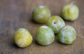 Afbeelding Pruim 'Reine Claude Verte' - Prunus domestica 'Reine Claude Verte'