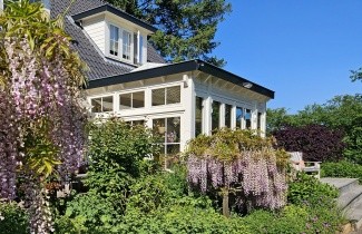 Afbeelding Blauwe Regen 'Issai' - Wisteria formosa 'Issai'