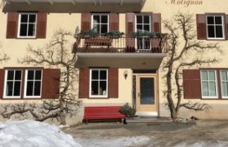 Afbeelding Abrikoos 'Tros Oranje'  - Prunus armeniaca 'Tros Oranje'