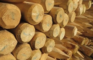 Afbeelding Boompalen en boomband - 