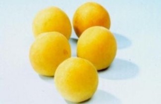 Afbeelding Abrikoos 'Bredase' - Prunus armeniaca 'Bredase'