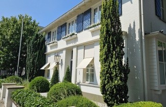 Afbeelding Ierse Taxus 'Fastigiata' - Taxus baccata 'Fastigiata'