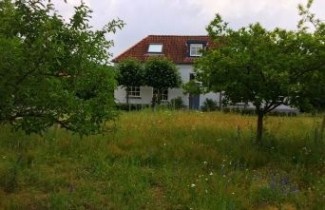 Afbeelding Appel 'Gala'  - Malus domestica 'Gala'