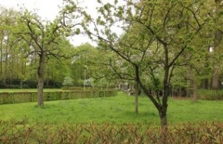 Afbeelding Appel "Stark's Earliest" - Malus domestica 'Stark's Earliest'