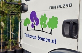 Afbeelding Rode Kamperfoelie - Lonicera xylosteum