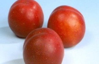 Afbeelding Nectarine 'Madame Blanchet' - Prunus persica 'Madame Blanchet'