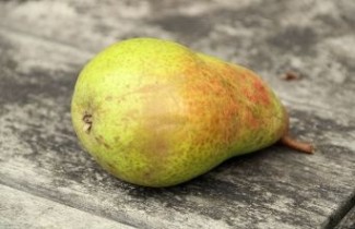 Afbeelding Handpeer 'Clapp's Favourite' - Pyrus communis 'Clapp's Favourite'