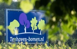 Afbeelding Hertshooi - vakbeplanting  - Hypericum moserianum