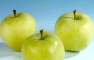Afbeelding Appel "Yellow Transparent" - Malus domestica 'Yellow Transparent'