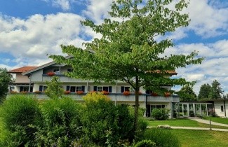 Afbeelding Reuze kornoelje - Cornus controversa