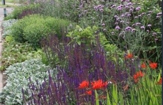 Afbeelding Borderpakket Onderhoudsarm D - Pakket OHD 48 planten