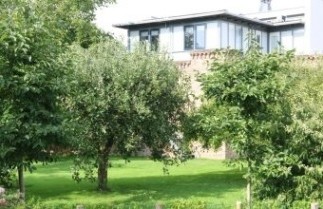 Afbeelding Appel ras onbekend - Malus domestica cv