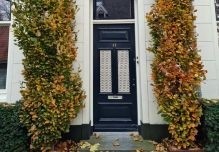 Op zoek naar bomen die niet te groot of breed worden? Neem een kijkje in de webshop van Ten Hoven Bomen