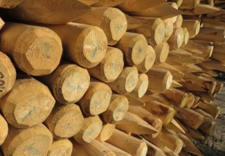 bomen-kopen-boompalen-aanplantgrond