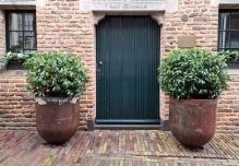 Bolvormen van hulst maar ook taxus, ilex te koop in diverse maten!