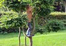 speelbomen voor kinderen