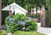 Op zoek naar mooie hortensia's voor u tuin ? Bekijk de uitgebreide informatie en de duidelijke foto's in onze Webshop ! Ten Hoven Bomen.nl